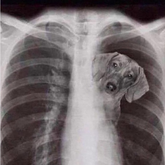 Meet your Posher, Alex - Picture 1 of 1